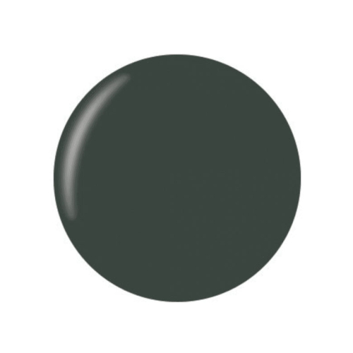 Technic Cosmetics - Esmalte fosco - Amazonian