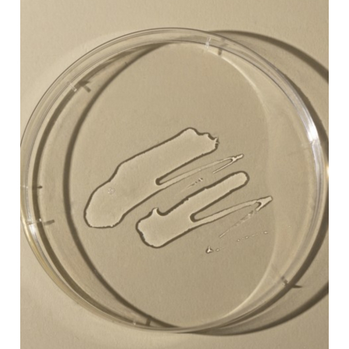 Toun 28 - Tônico Facial Propolis Balance Toner