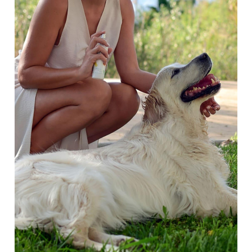 Wailoha - *Maldito Perro Sensual* - Colônia de Animais Ríos de Aventuras