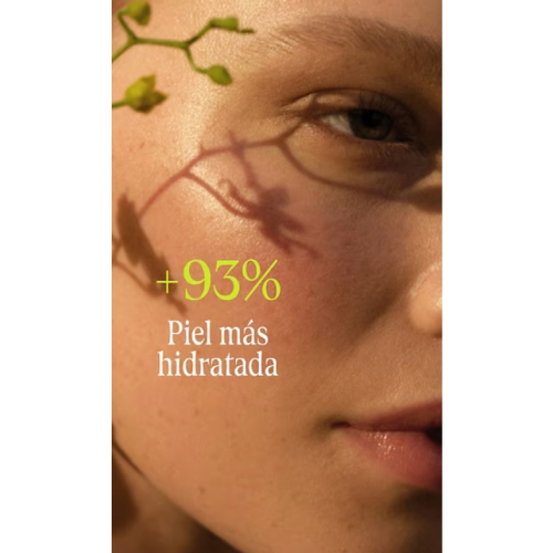 Weleda - Creme de Dia Skin Food