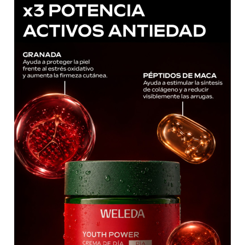 Weleda - *Lifting* - Creme de dia reafirmante Youth Power