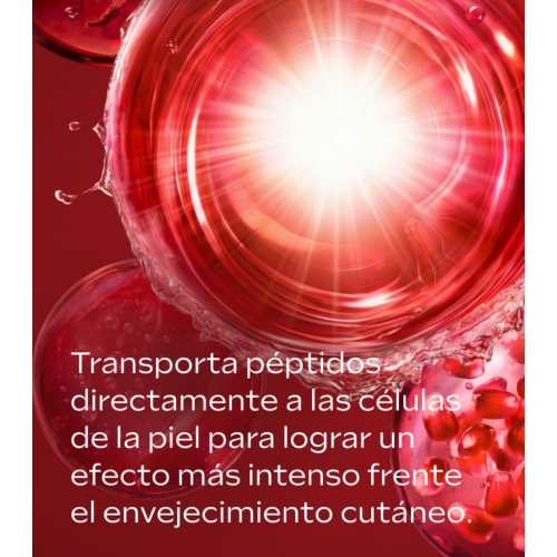Weleda - *Lifting* - Sérum facial EXO Boost Night Restoring Elixir